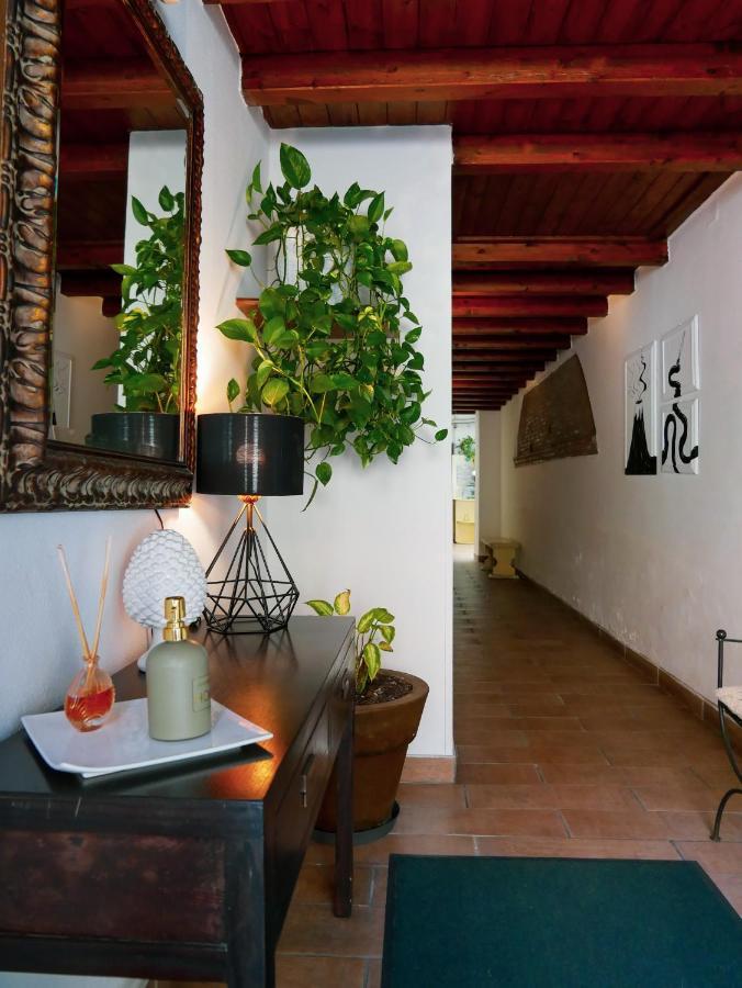 My Friend Antonia Bed & Breakfast Barcellona-Pozzo di Gotto Exterior photo